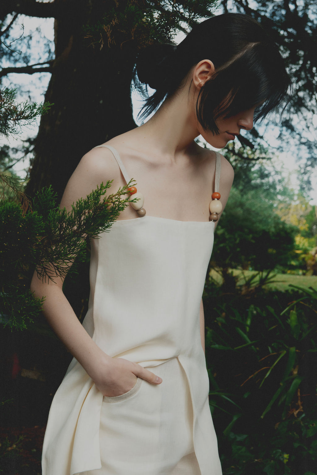 TOP  Camelia